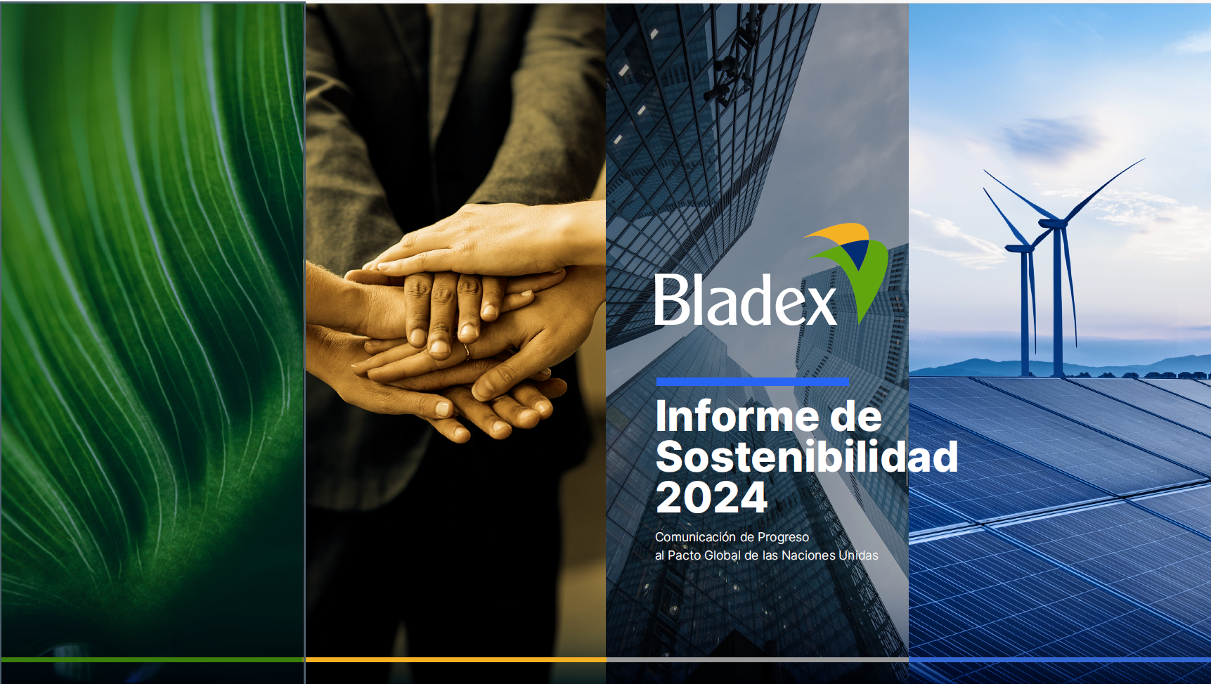Informe de sostenibilidad 2024