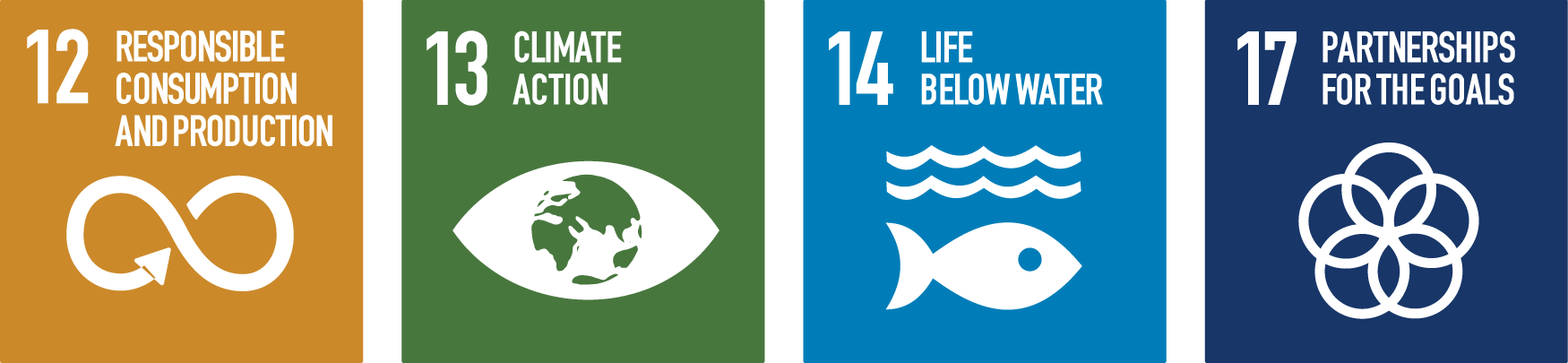 SDG logos